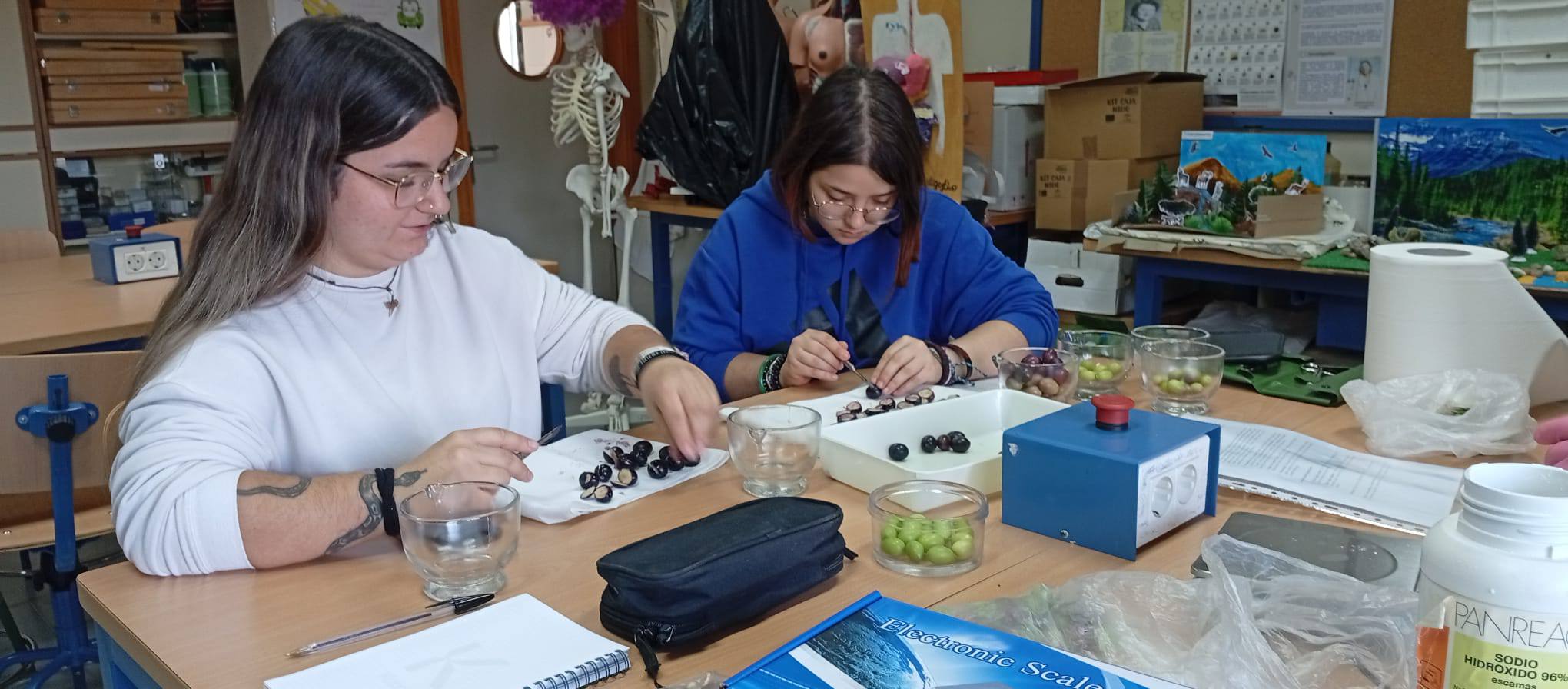 Actividades Producción Agroecológica